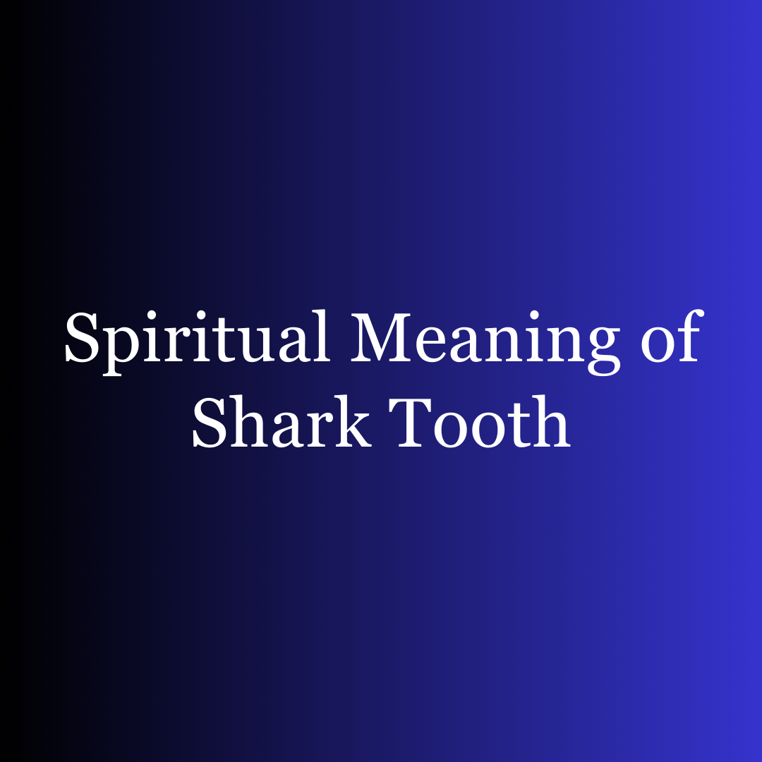 Spiritual Meaning of Shark Tooth
