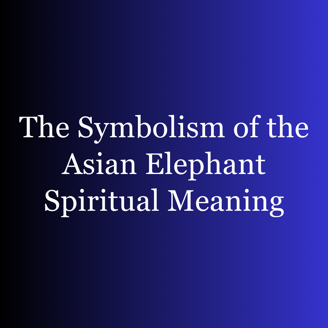 The Symbolism of the Asian Elephant Spiritual Meaning