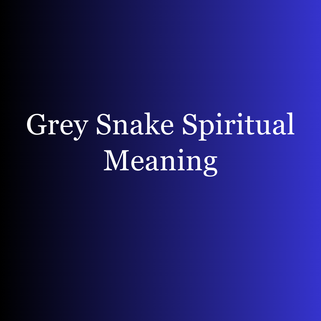 Grey Snake Spiritual Meaning