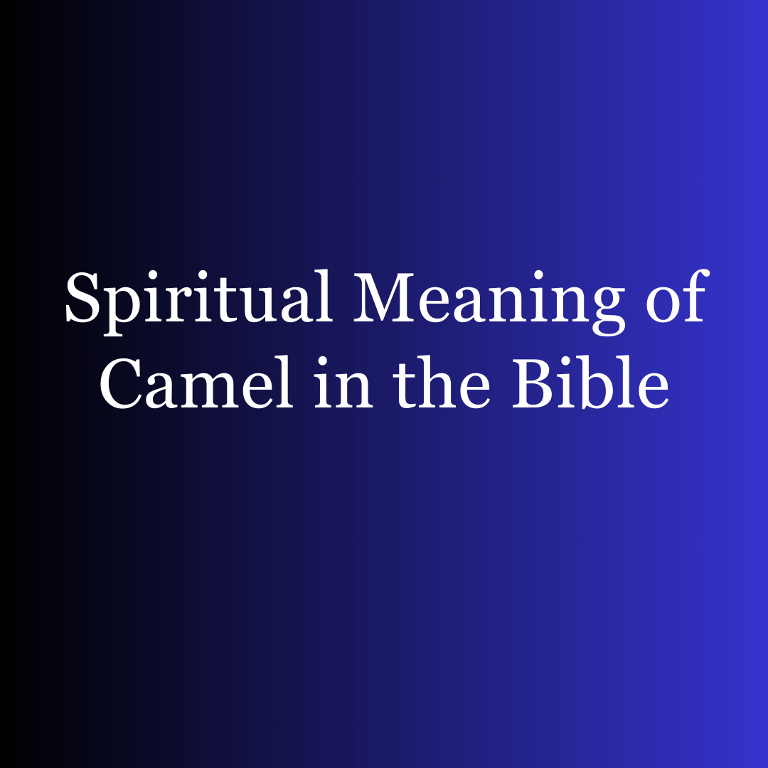 Spiritual Meaning of Camel in the Bible