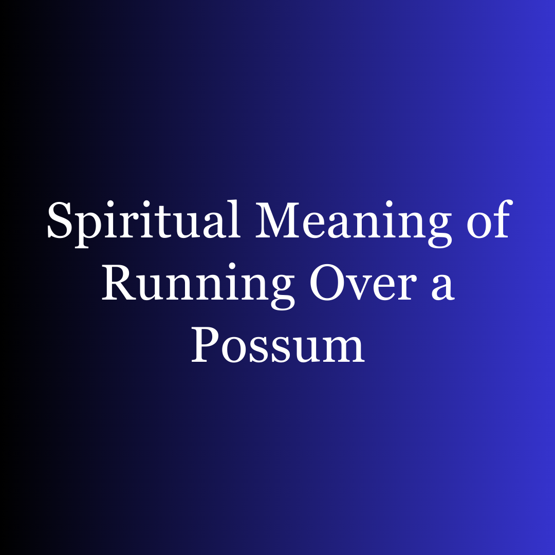Spiritual Meaning of Running Over a Possum