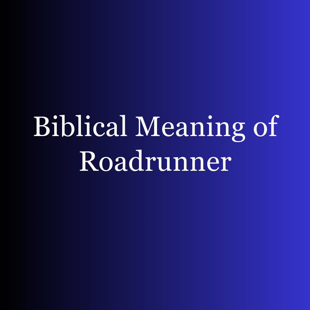 Biblical Meaning of Roadrunner