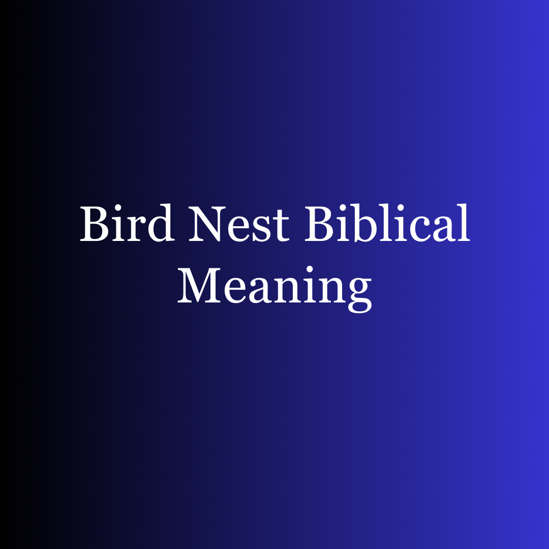 Bird Nest Biblical Meaning